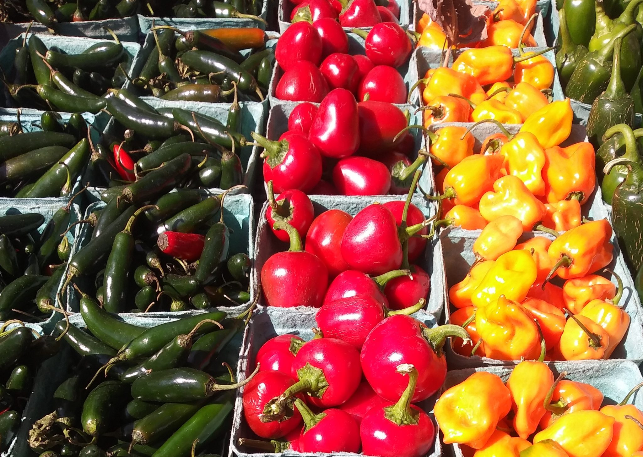 Healthy Superfoods for cancer prevention